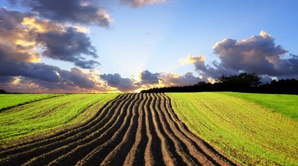 土壤和沉积物检测